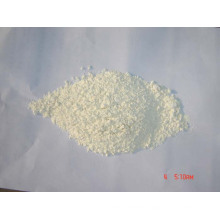 Dehydrated Garlic White Powder